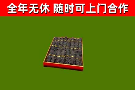 颍州回收海参